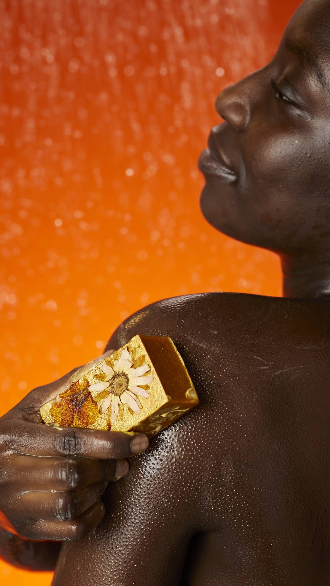 4984784D-436F-D75D-F8BB-B446405D53D0