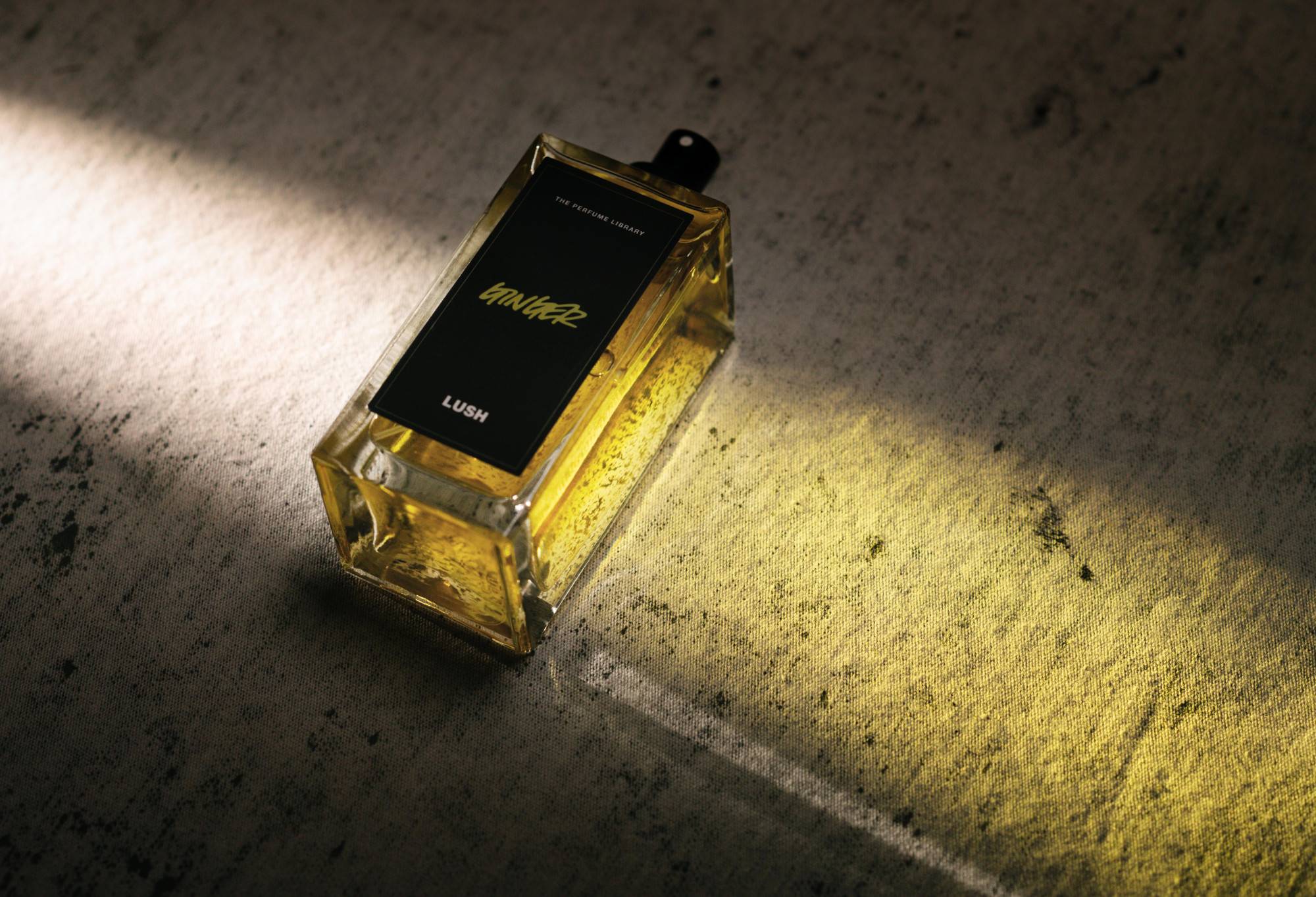 A2A8DBFE-1450-DE7B-C8A1-9C475A203174