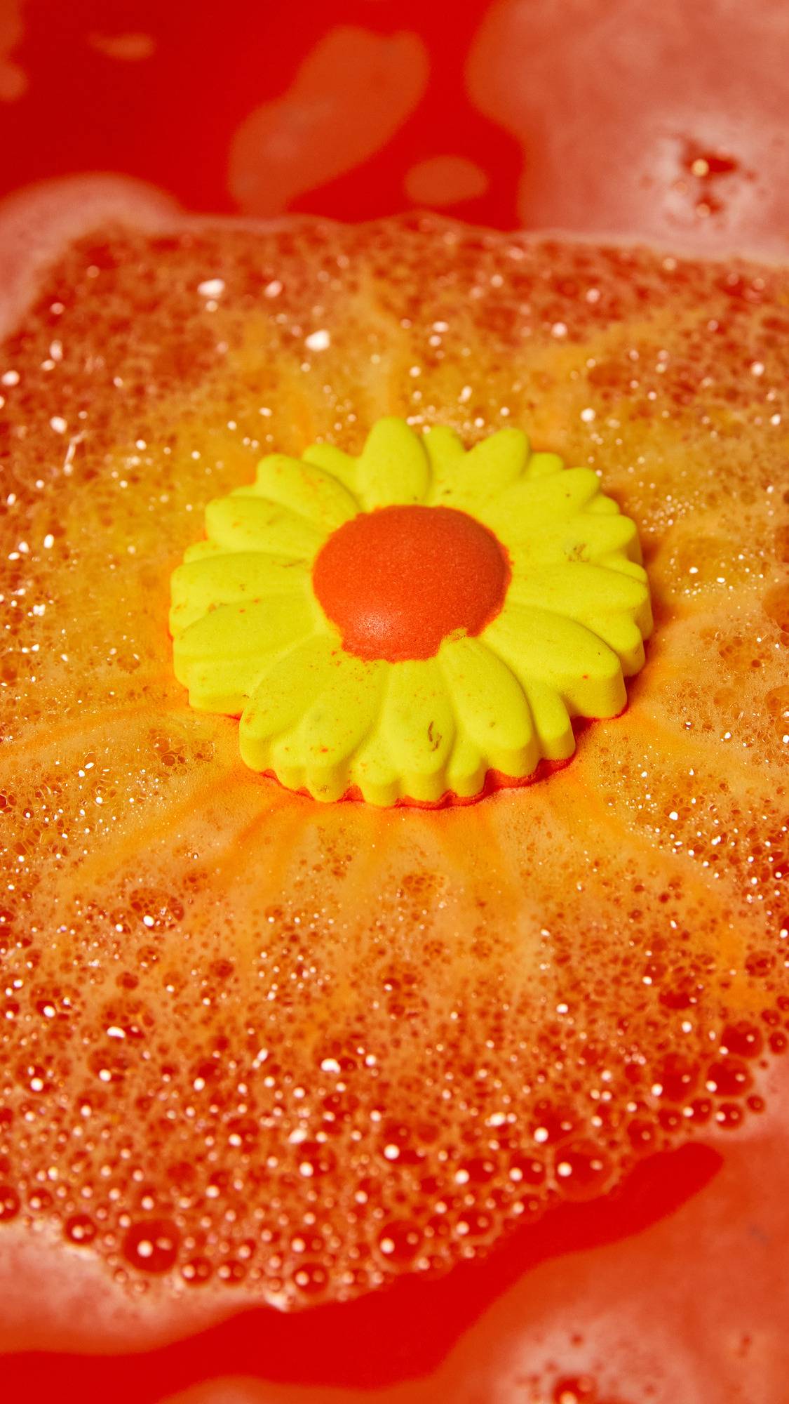 E6BC6EC2-621B-C4D6-16D1-2C2461237E2C